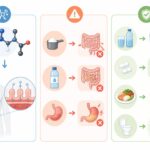 Les secrets du lait d’ânesse : un trésor naturel pour une peau éclatante et une santé renforcée découvrez comment la créatine peut affecter la digestion et apprenez des conseils pratiques pour prévenir et soulager la diarrhée liée à sa consommation.