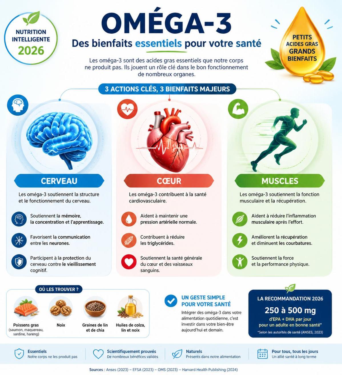 découvrez comment les oméga-3 peuvent améliorer votre santé et optimiser vos performances grâce à leurs bienfaits essentiels pour le corps et l'esprit.