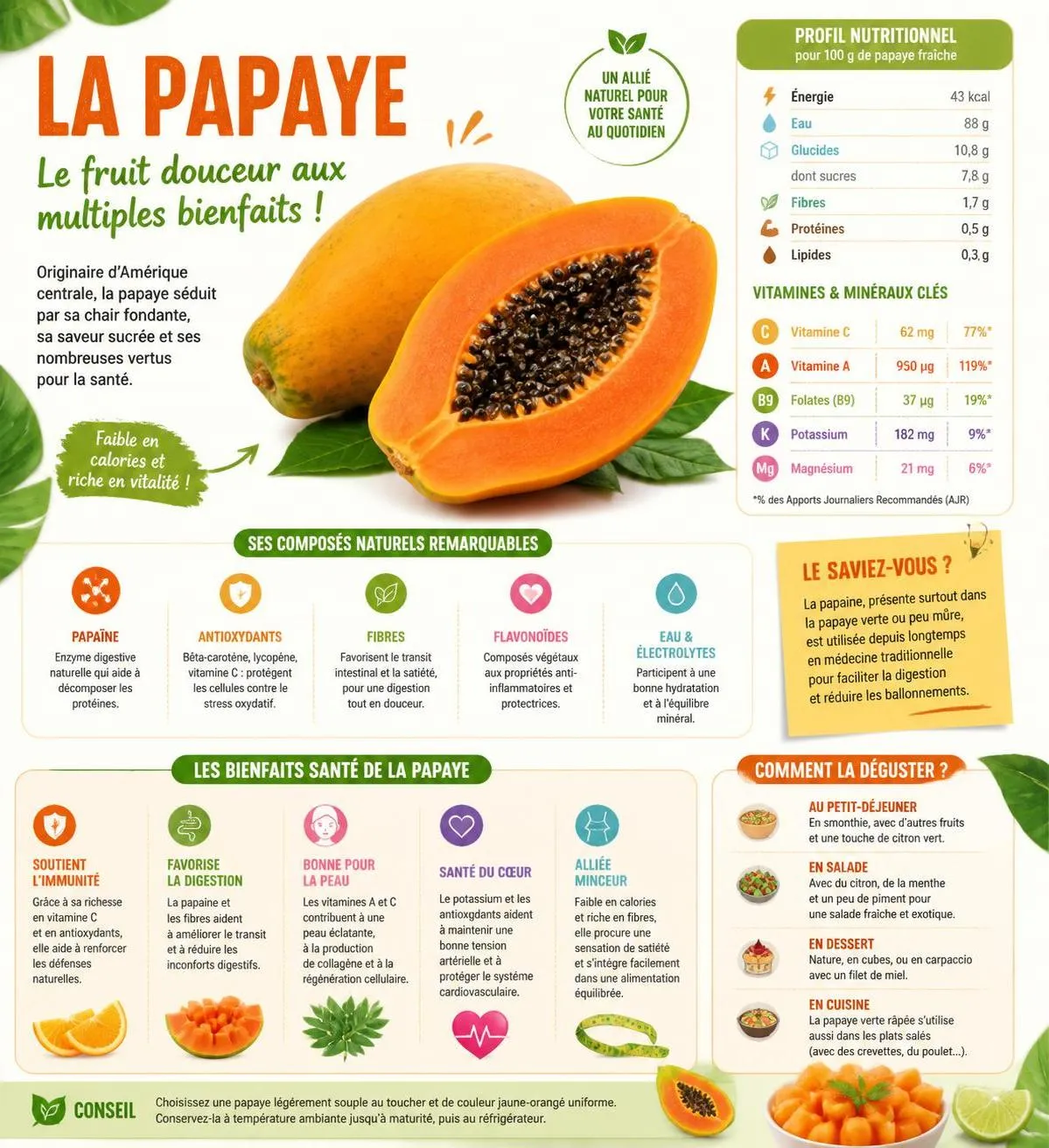 découvrez les bienfaits santé exceptionnels de la papaye et nos conseils nutritionnels pour intégrer ce fruit riche en vitamines dans votre alimentation en 2026.