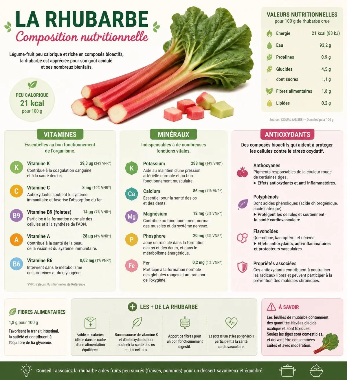 découvrez les bienfaits santé de la rhubarbe, ses propriétés nutritionnelles et des recettes savoureuses pour 2026. un guide complet pour profiter pleinement de ce fruit aux multiples usages.