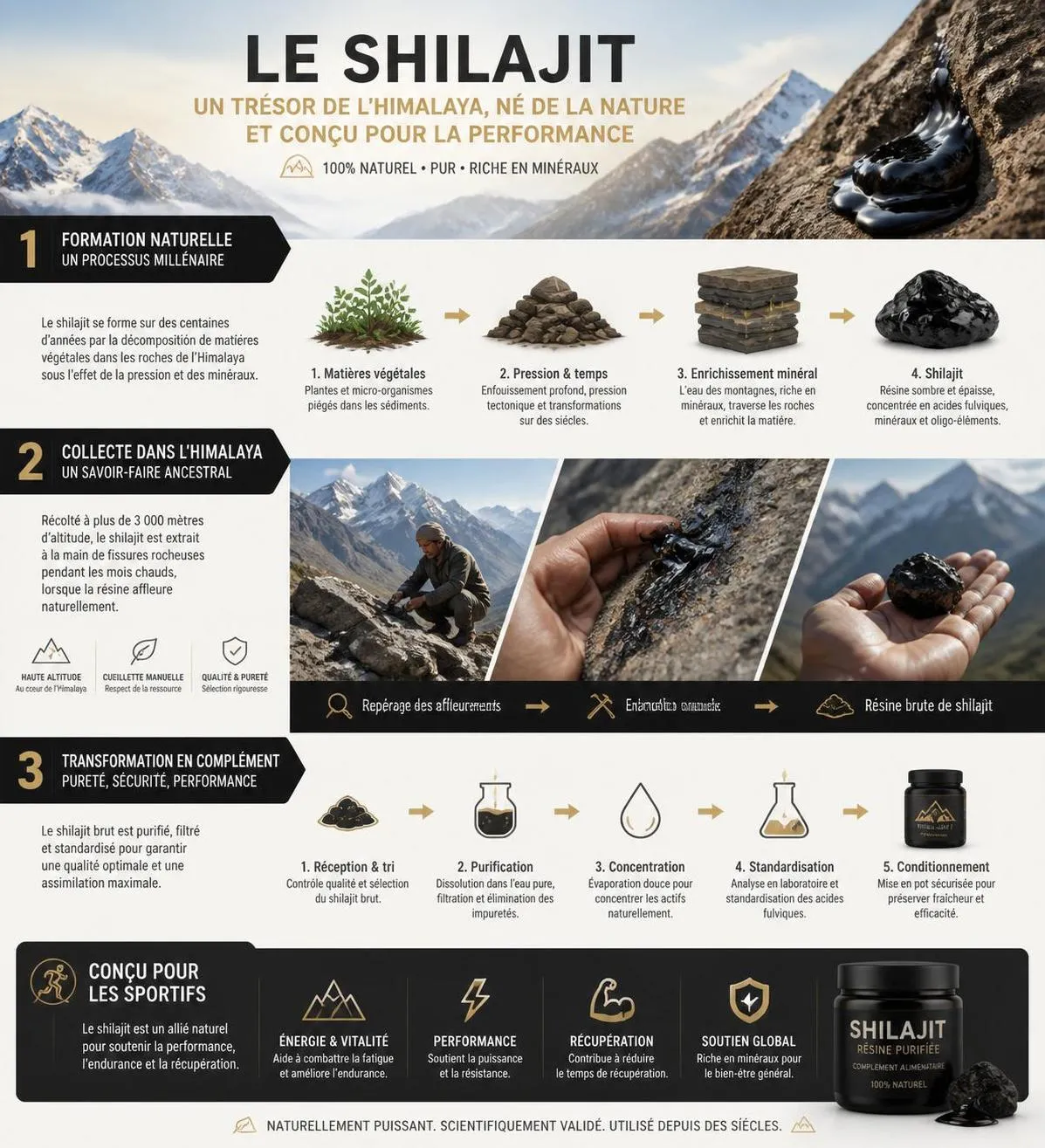 découvrez comment la résine ancestrale shilajit peut booster vos performances en musculation grâce à un décryptage scientifique détaillé de ses bienfaits.