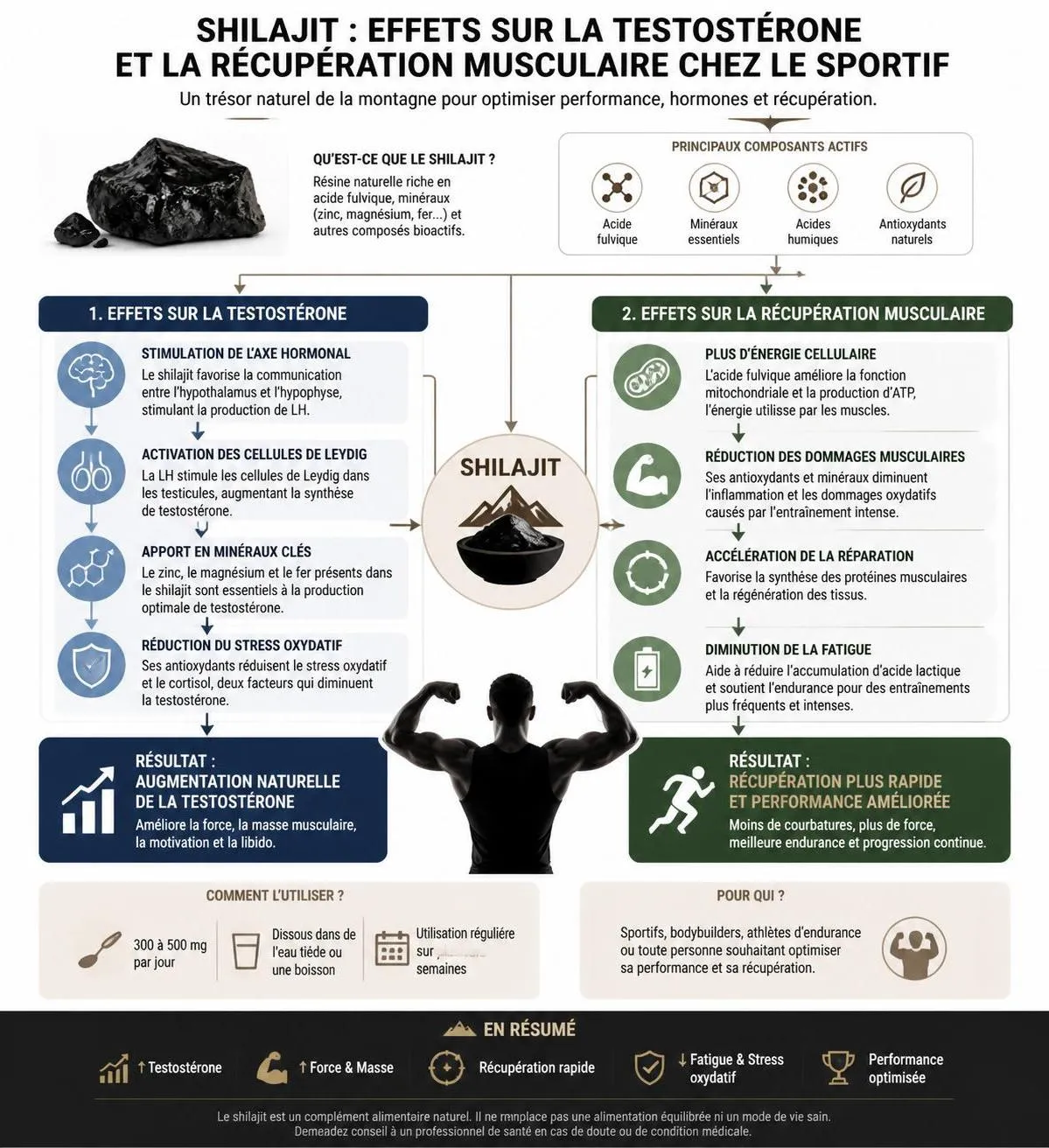 découvrez comment le shilajit, résine ancestrale, peut améliorer vos performances en musculation grâce à un décryptage scientifique détaillé.