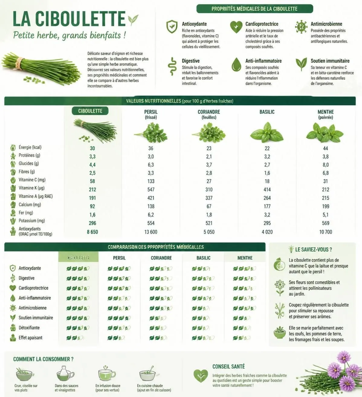 découvrez les bienfaits santé de la ciboulette, ses propriétés nutritionnelles et nos conseils pratiques pour la cultiver facilement chez vous.