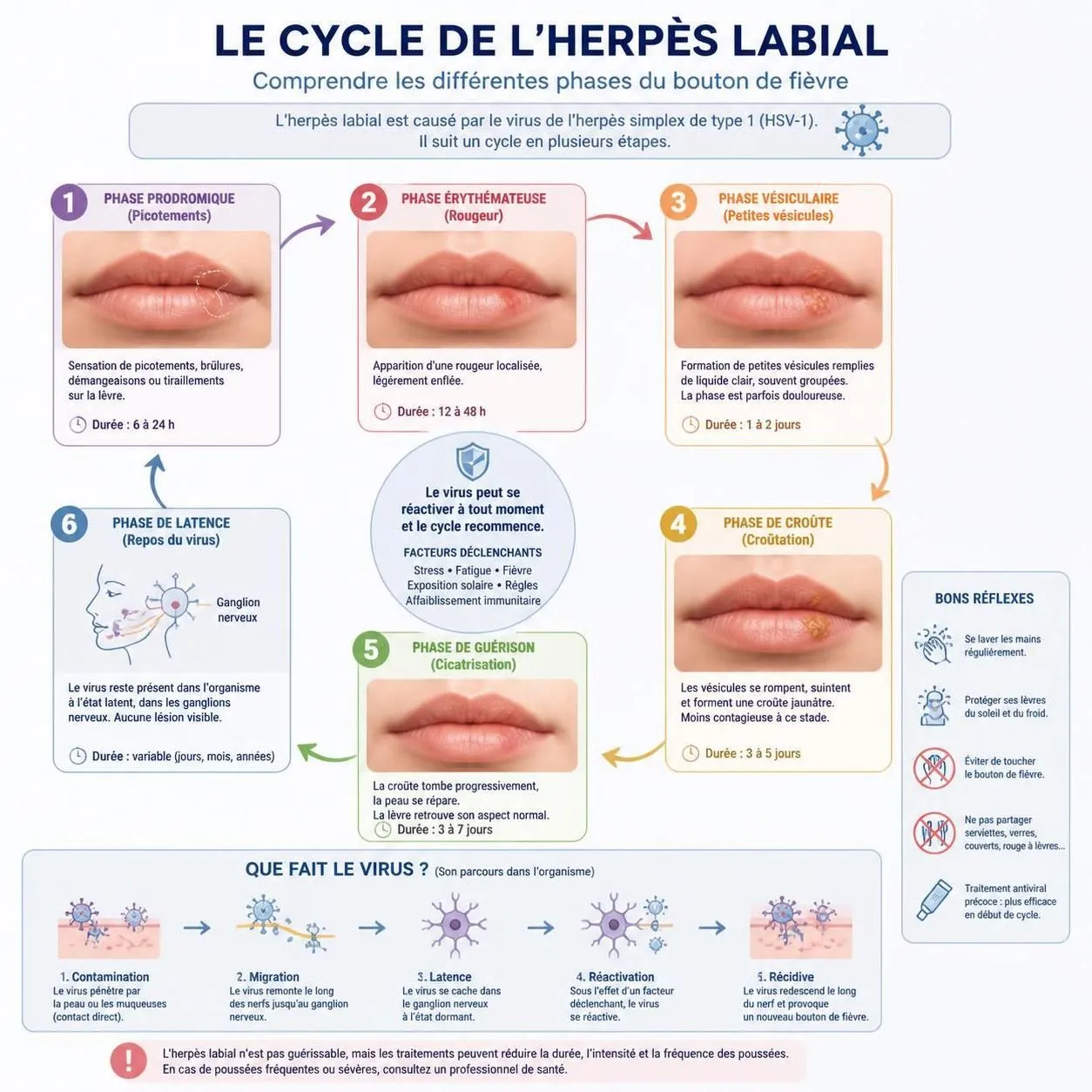 découvrez des traitements naturels efficaces pour l'herpès labial en 2026 et apprenez comment accélérer la guérison grâce à des remèdes simples et éprouvés.