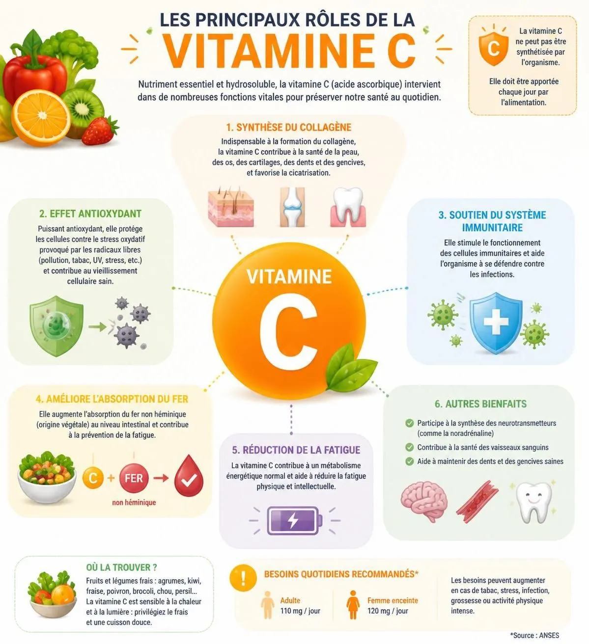 découvrez tout sur la vitamine c en 2026 : aliments riches en vitamine c, bienfaits pour la santé et conseils de dosage quotidien pour une vitalité optimale.