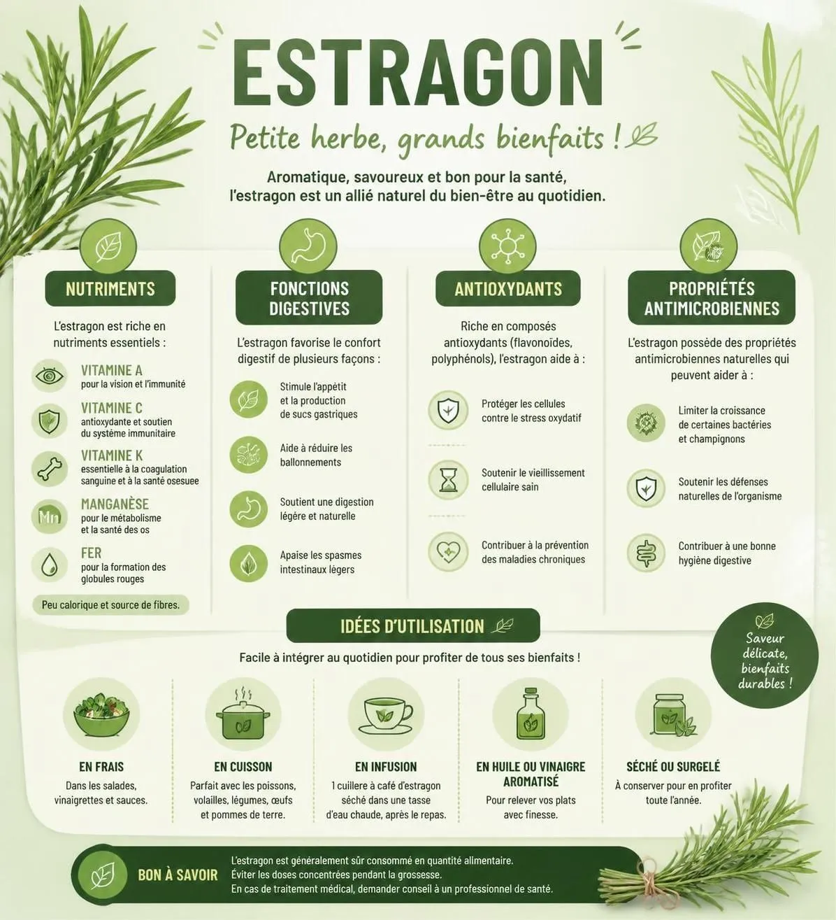 découvrez les propriétés médicinales insoupçonnées de l'estragon et apprenez comment l'utiliser facilement au quotidien pour améliorer votre bien-être.