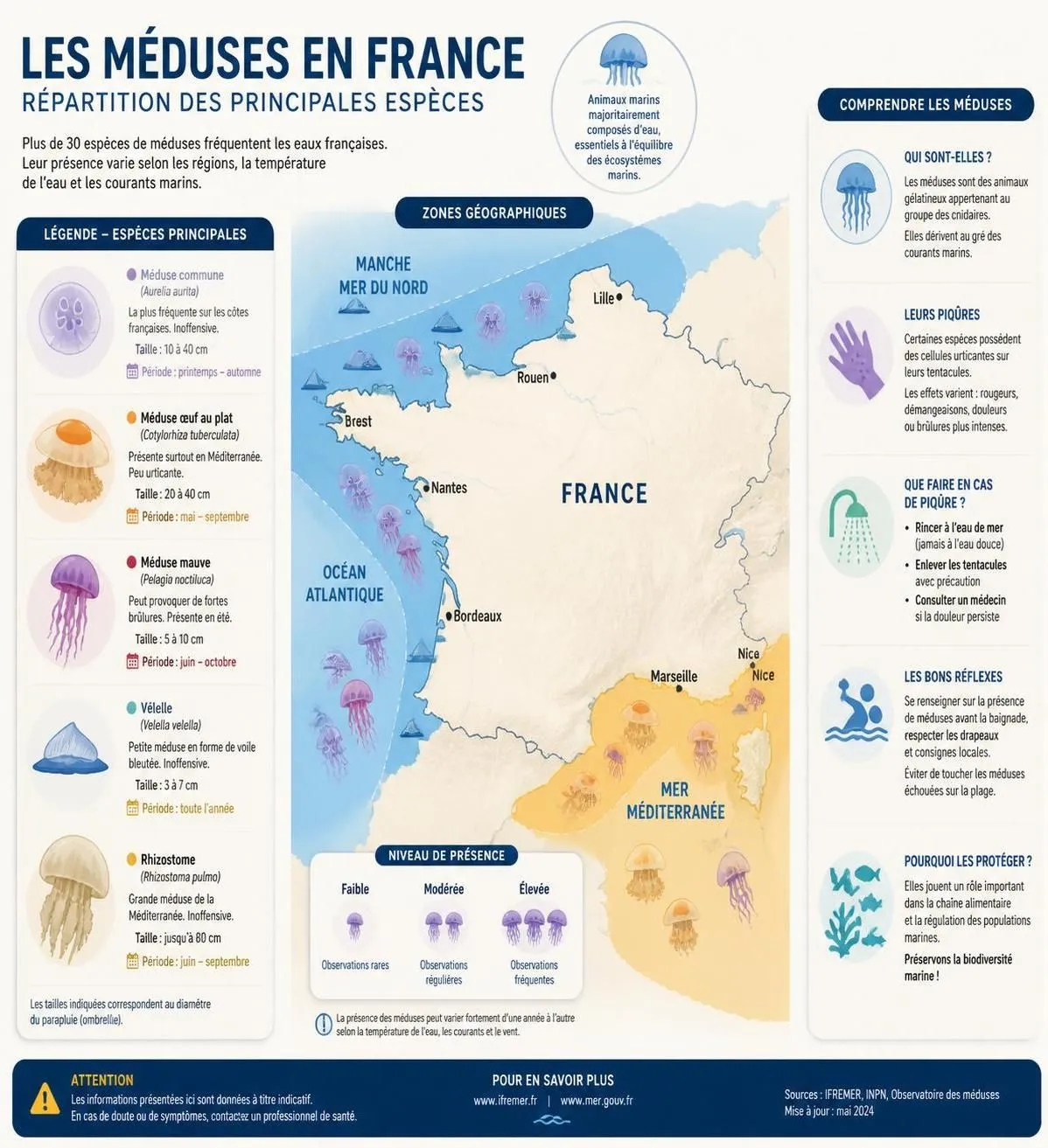 découvrez comment agir rapidement en cas de piqûre de méduse : premiers soins essentiels, reconnaissance des réactions allergiques et conseils pratiques à suivre sur la plage pour assurer votre sécurité.
