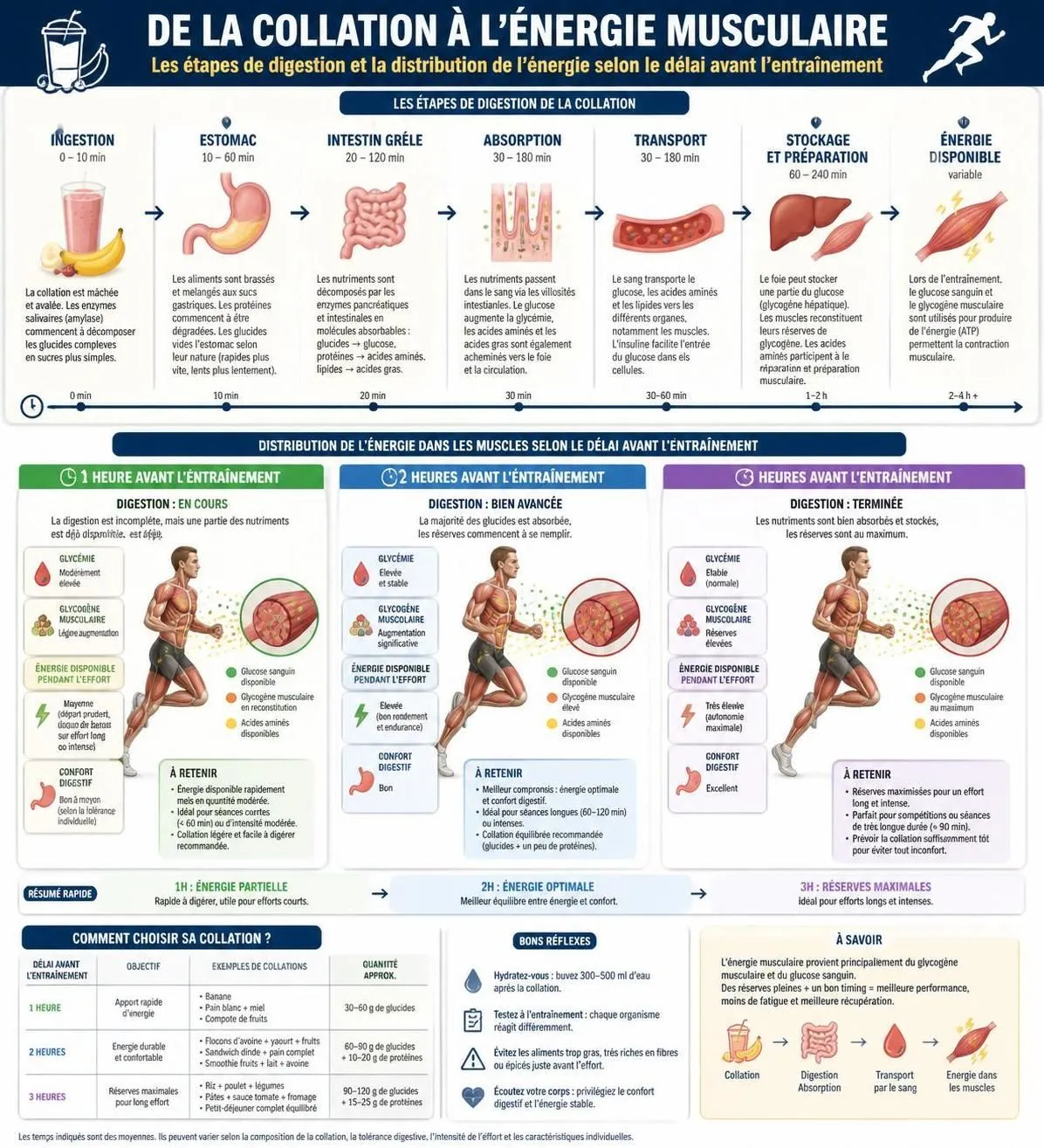 découvrez quelle collation privilégier avant le sport en fonction de l'intensité de l'effort et du temps disponible, pour optimiser vos performances et votre énergie.