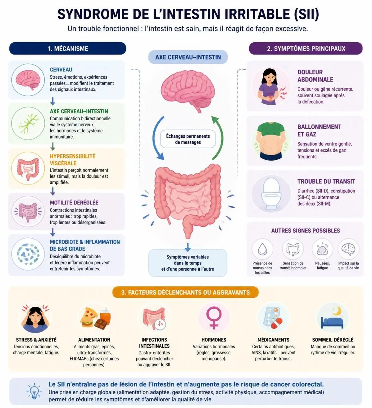 découvrez tout sur le syndrome de l'intestin irritable : symptômes, méthodes de diagnostic et conseils pour un régime alimentaire adapté afin de mieux gérer cette condition.