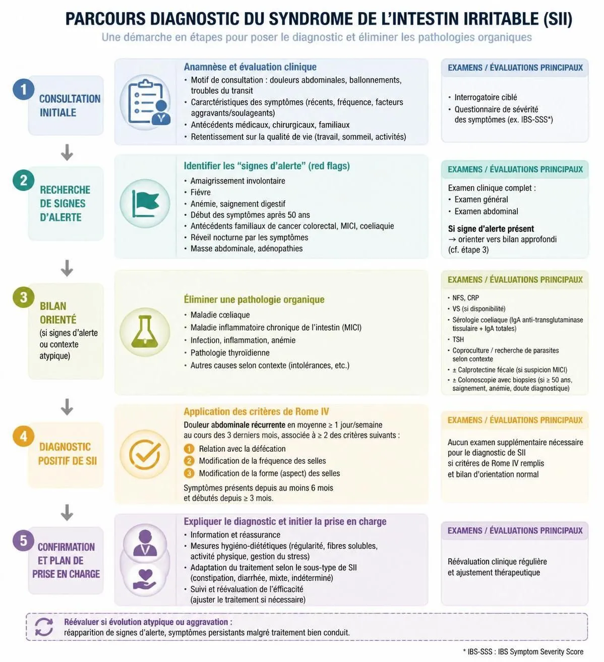 découvrez les symptômes du syndrome de l'intestin irritable, les méthodes de diagnostic et un régime alimentaire adapté pour mieux gérer cette affection digestive.