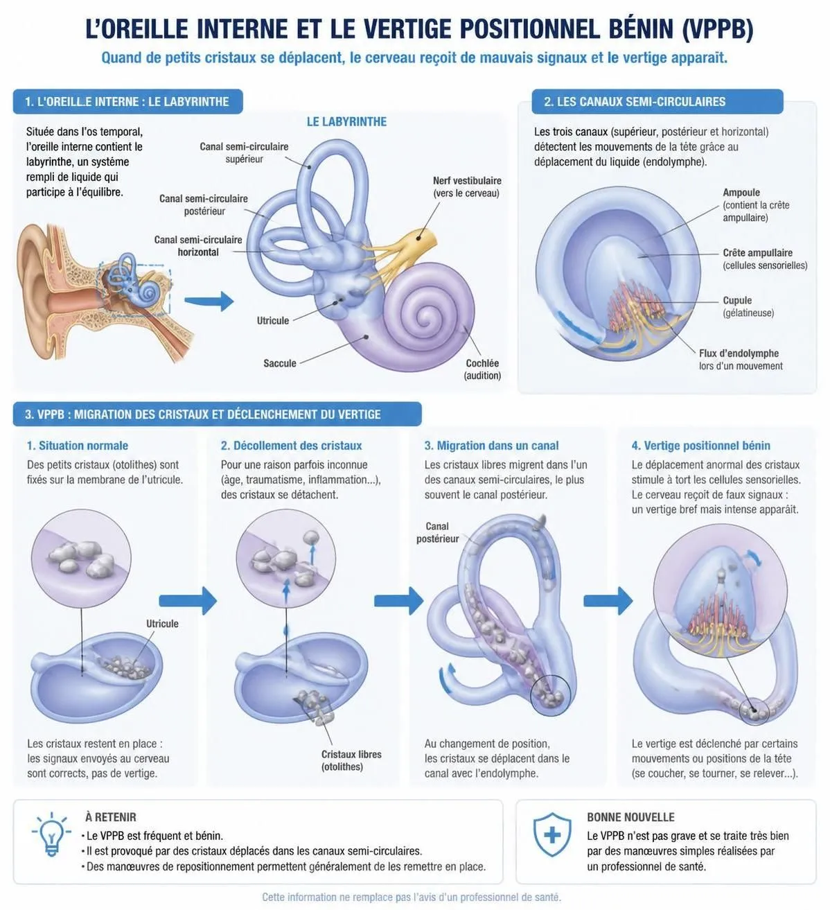 découvrez les causes des vertiges positionnels bénins, apprenez la manœuvre d'epley pour les soulager et sachez quand consulter un médecin pour un diagnostic précis et un traitement adapté.