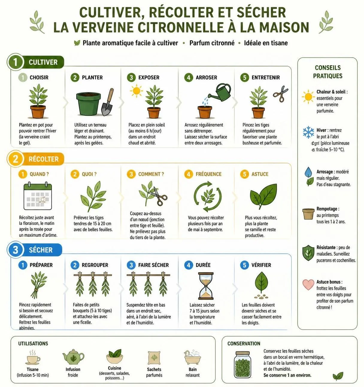 découvrez les bienfaits de la verveine citronnelle pour améliorer le sommeil, faciliter la digestion et réduire le stress naturellement.